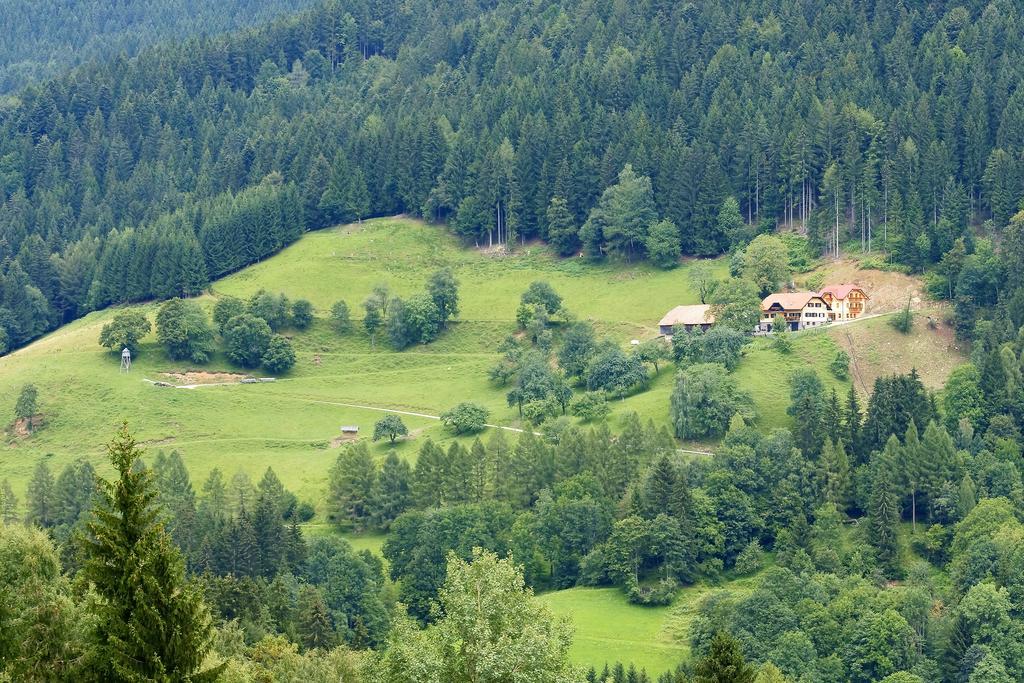 Tourist Farm Arbajter Villa Resnik Dış mekan fotoğraf