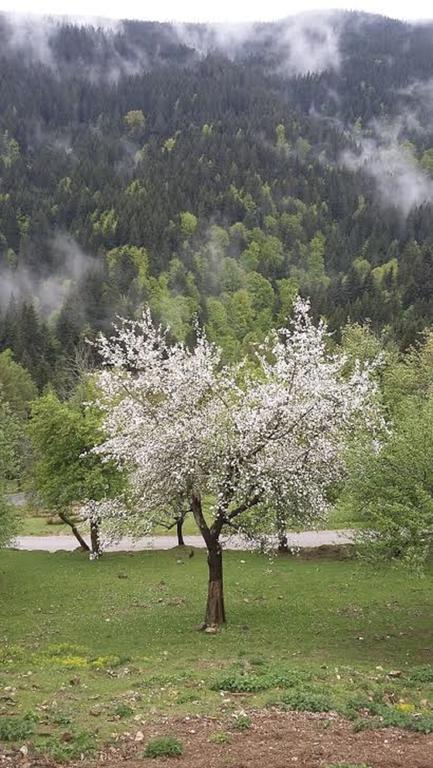 Tourist Farm Arbajter Villa Resnik Dış mekan fotoğraf